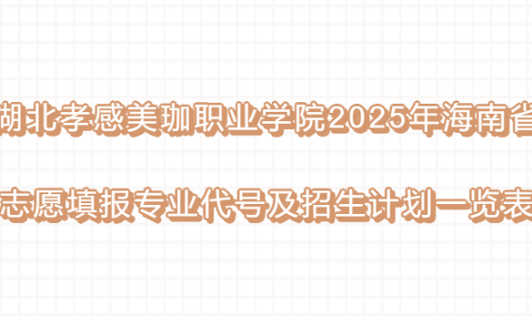 湖北孝感美珈职业学院2025年海南省志愿填报  专业代号及招生计划一览表