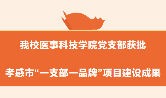 我校医事科技学院党支部获批孝感市“一支部一品牌”项目建设成果
