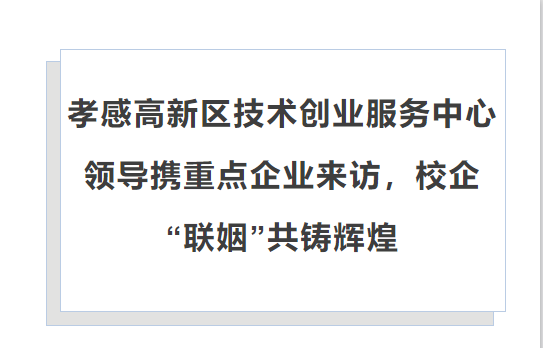 孝感高新区技术创业服务中心领导携重点企业来访，校企“联姻”共铸辉煌